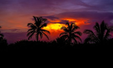 Sayers in Paradise: From Dante to Dorothy